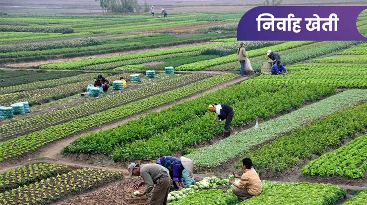 फसल की खेती: आधुनिक तकनीकों से किसानों की आय बढ़ाने का सुनहरा अवसर